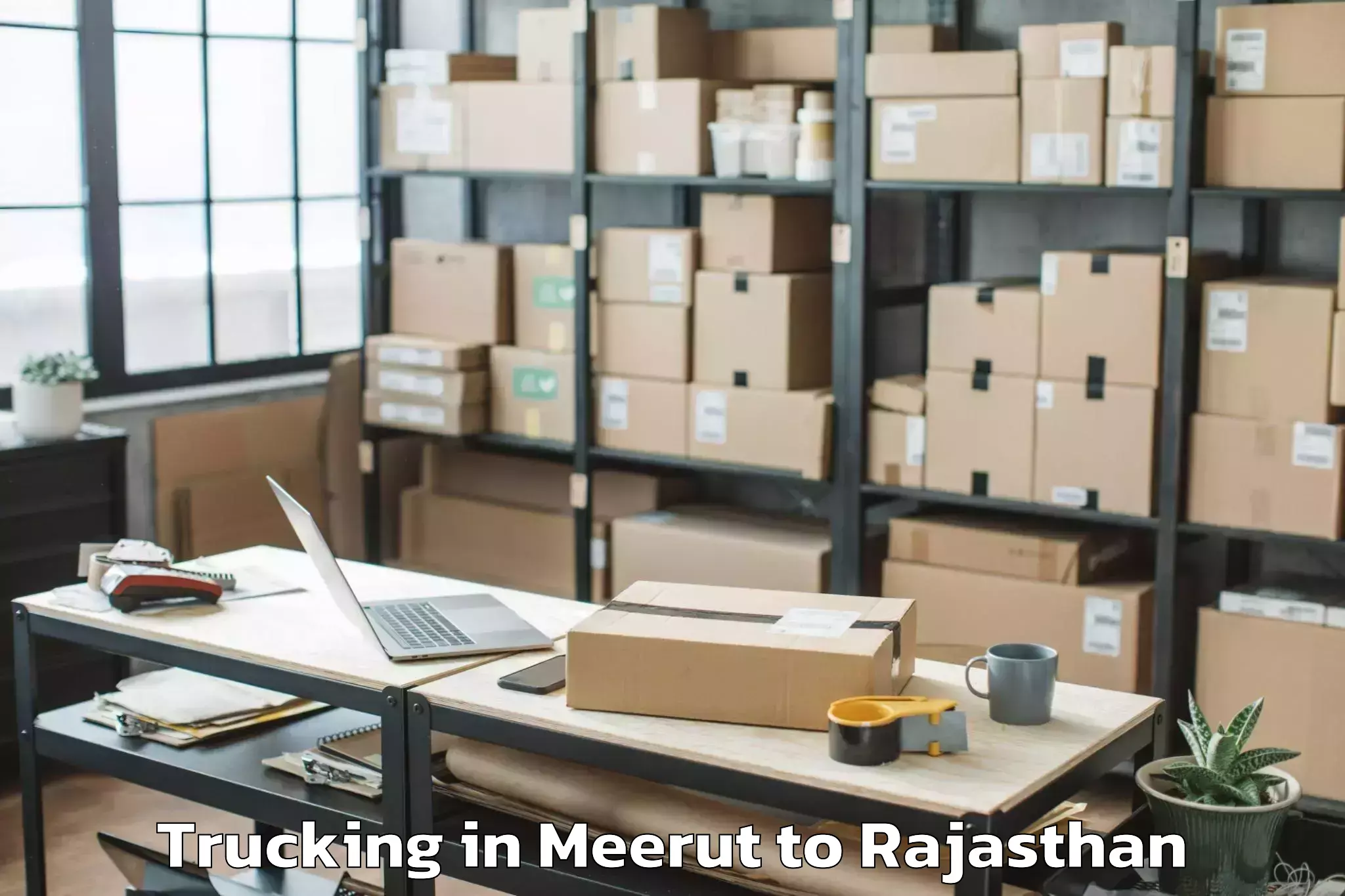 Meerut to Lalsot Trucking Booking